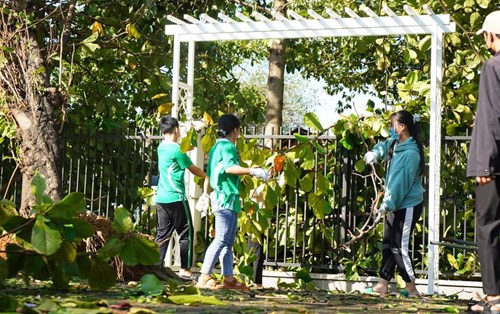  Văn hoá trách nhiệm trong các hoạt động cộng đồng của người Đại học Đông Á 