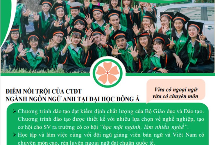 Sơ đồ về Chương trình Đào Tạo của ngành Ngôn Ngữ Anh tại Đại học Đông Á 