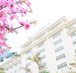Ảnh ấn tượng Lịch Tết 2019 Đại học Đông Á