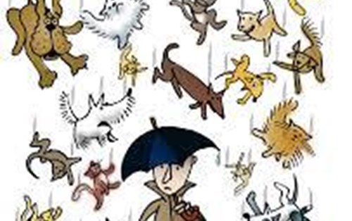 Using Idioms in the IELTS Speaking Test