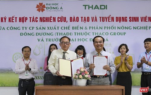 Đại học Đông Á hợp tác với THADI đào tạo và cung ứng nguồn nhân lực 